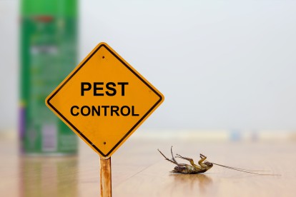 Pest Contol in Southgate, N14. Call Now 020 8166 9746